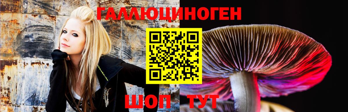 Галлюциногенные грибы GOLDEN TEACHER Чапаевск